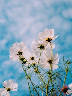 腾龙公司游戏网站案例