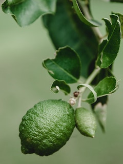 腾龙公司游戏网站案例