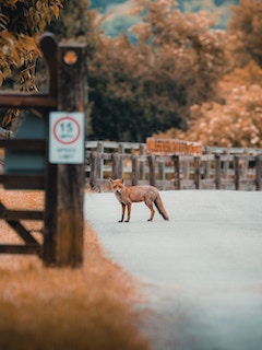 腾龙公司游戏网站案例