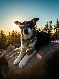 腾龙公司游戏网站案例